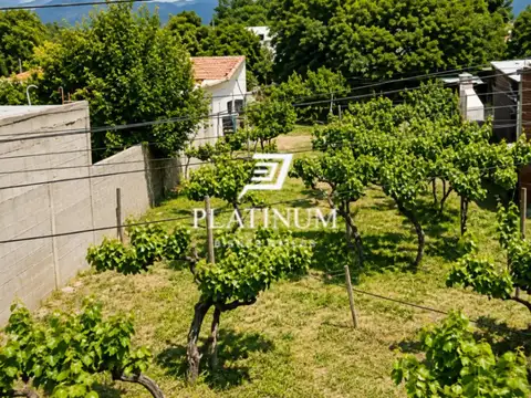 Terreno / Lote en venta de 319m2 ubicado en Cafayate