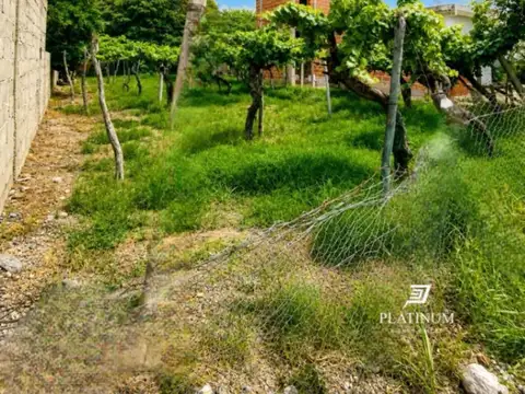 Terreno en Venta 31  mts Fondo