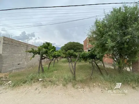 Av. automovil club argentino  CAFAYATE SALTA 100