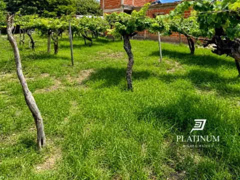 Terreno en Venta 10  mts Frente