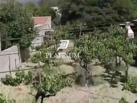 Terreno / Lote en venta de 319m2 ubicado en Cafayate