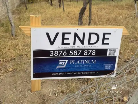 Terreno en Venta 31  mts Frente