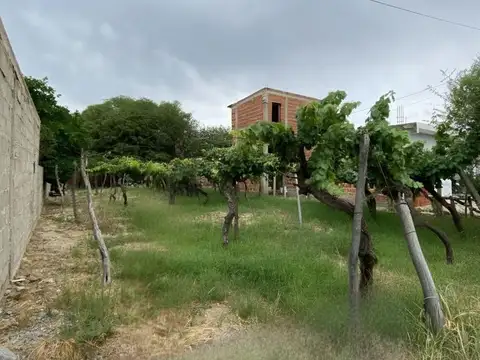 Terreno en Venta de 319,0 m2