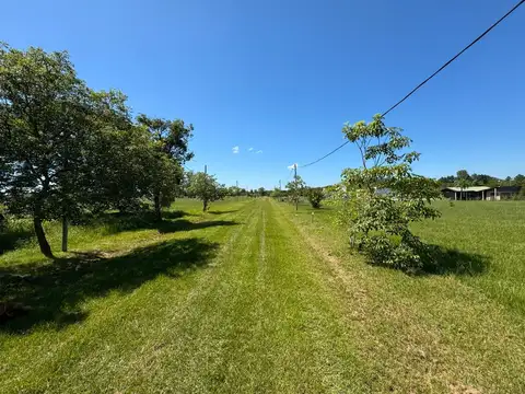 Terreno en venta
