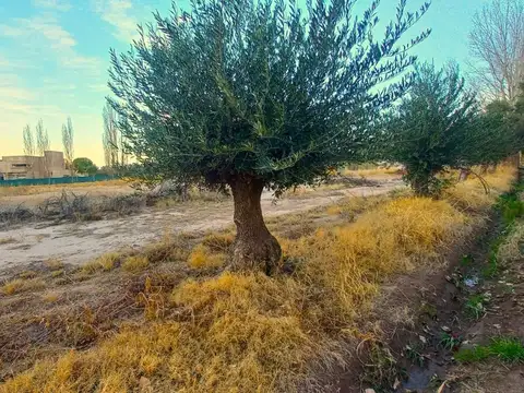 Terreno en Venta de 7107,0 m2