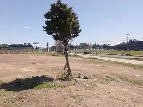 IMPORTANTE FRACCION COMERCIAL