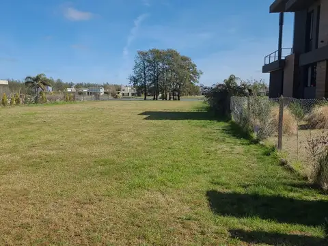 Puerto Roldan Los Cisnes