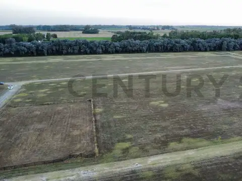 BARRIO CHACRAS DE SAN ANDRES , Villa Ruiz, San Andrés de Giles, Buenos Aires (fuera de GBA) (Activo)