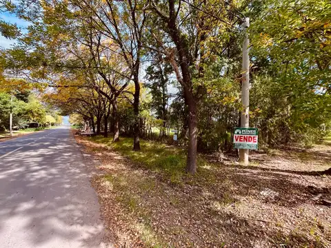 Terreno en Venta 21  mts Frente