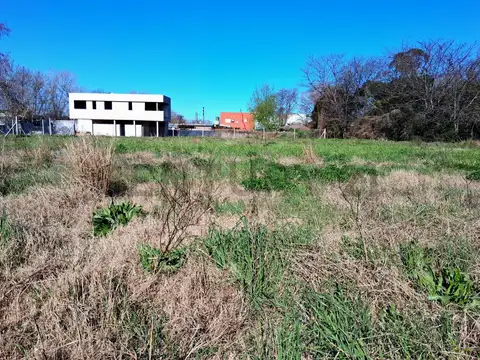 65 e/ 156 y 157 , Piso 0