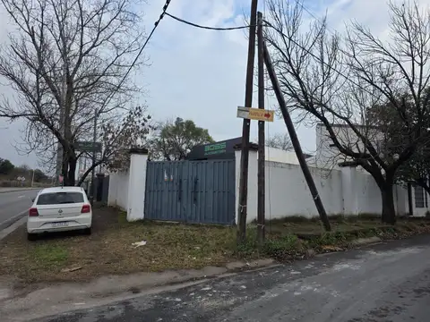 Los Pinos 100