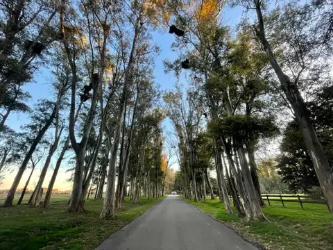 Terreno en Venta en Haras San Pablo, USD 61.000