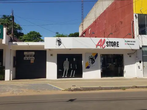 Av. Gral. Elizardo Aquino 400