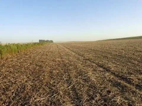 Coronel Pringles, Buenos Aires Interior 100