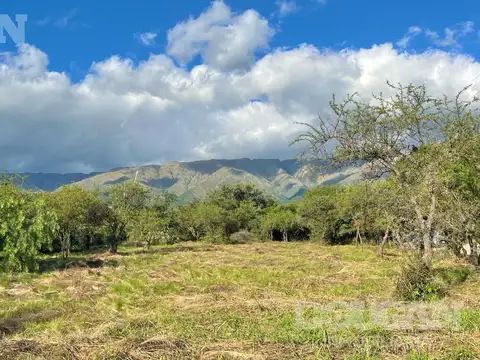 Terreno en Venta 60  mts Frente