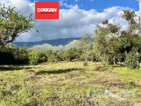 Terreno en Venta en Carpinteria, Junín