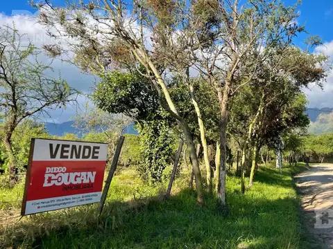 Terreno en Venta 25  mts Fondo