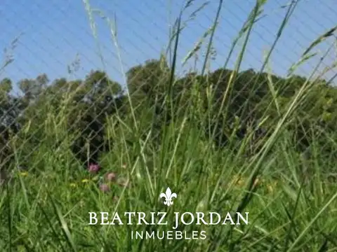 TERRENO EN VENTA, BARRIO ABIERTO LA PLEGARIA, LOS CARDALES