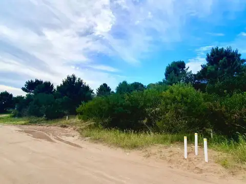 Terreno en Venta de 1000,0 m2