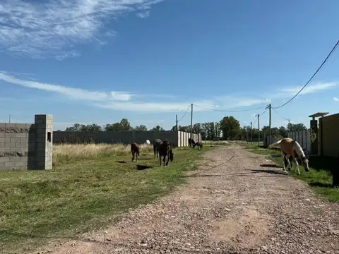 Oportunidad! Arándanos II, terrenos en A. Ferrari