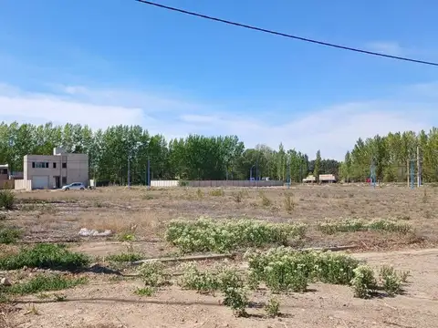 Parcela 01  Manzana 194, General Roca, Rio Negro