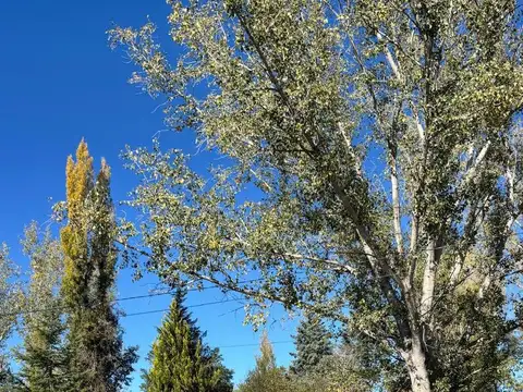 Terreno en El Manzano Historico