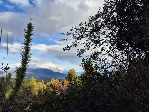 Terreno en Venta de 9050,0 m2