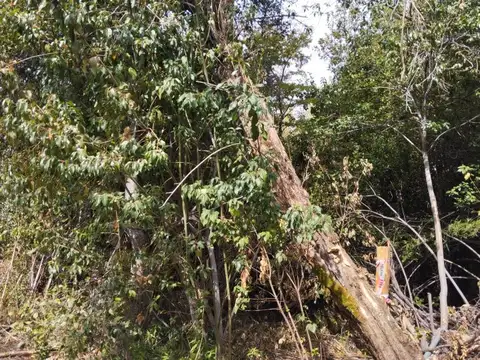 Terreno en Venta 113  mts Frente