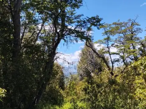 Mallin Ahogado, el Bolson