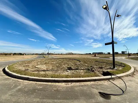 Barrio Silvestre 100