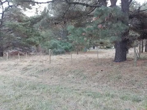 24 e/ Diagonal 41 y 37