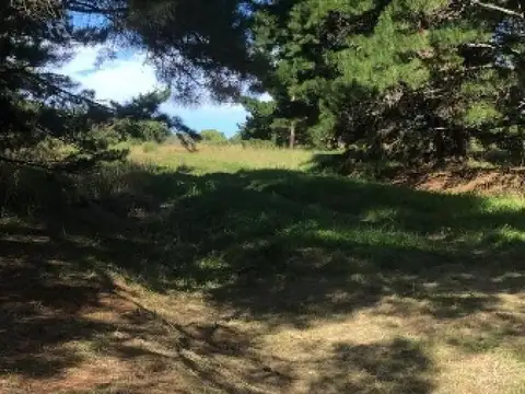 Terreno en venta - 407Mts2 - El Marquesado