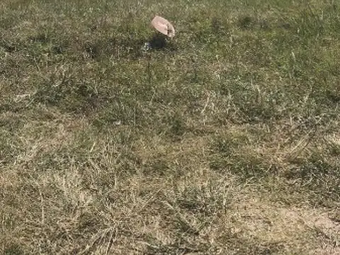 Terreno en Venta de 407,0 m2