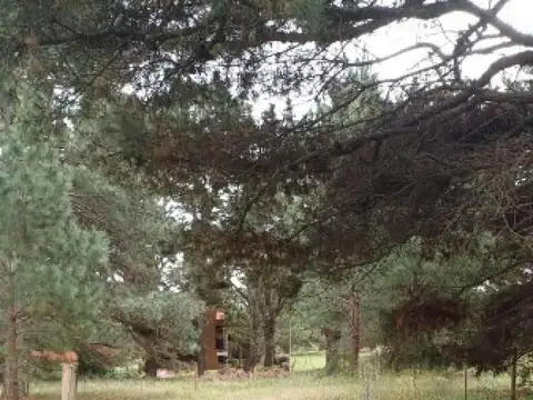 24 e/ Diagonal 41 y 37