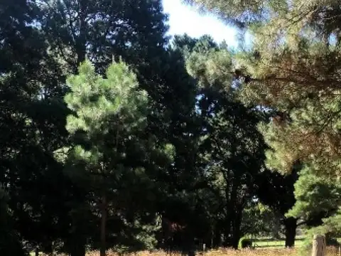 Terreno en Venta 26  mts Fondo