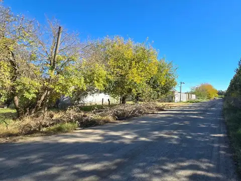 Galpon en Venta 37 años