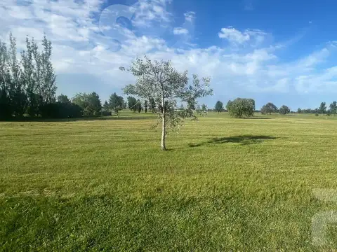 Barrio Fincas de San Vicente Golf