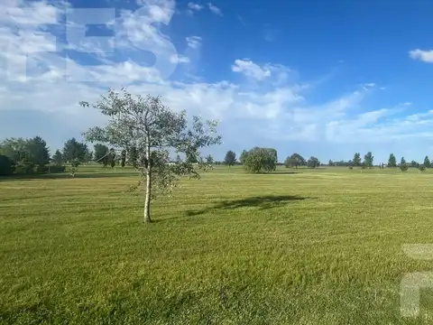 Terreno en Venta en Fincas de San Vicente, USD 35.000