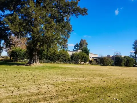 Terreno en Venta de 922,0 m2