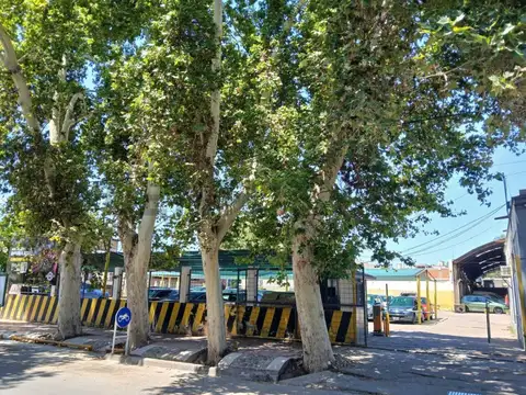 Belgrano 1800, Piso 0