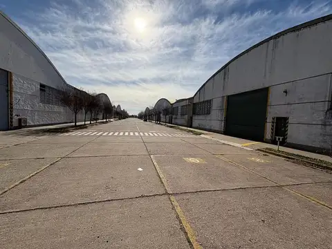 Olavarria al 600