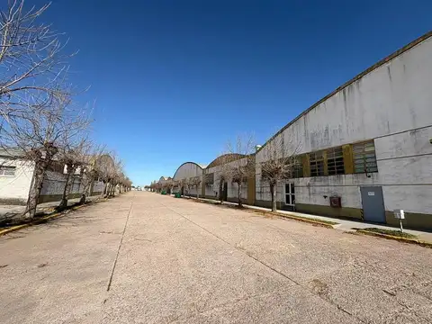 Olavarria al 600