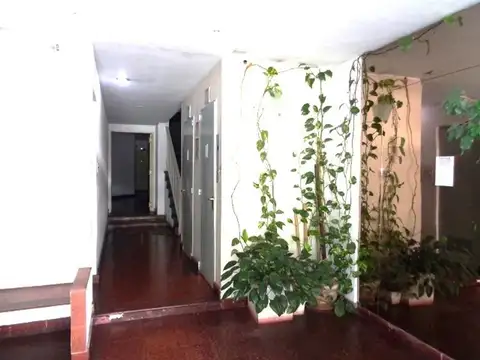 Camargo 300