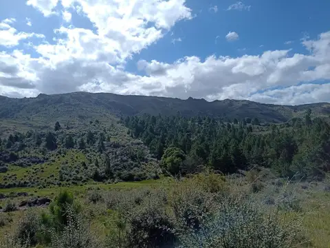 Terreno en Venta de 52242,0 m2