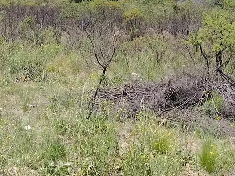 Terreno en Venta de 11259,0 m2