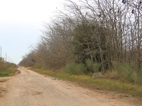 Campo en Venta de 20  ha