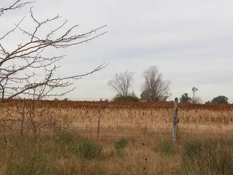Campo en venta en Marcos Paz Rural