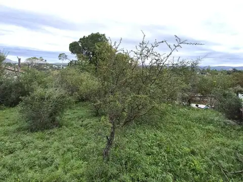 Avenida Las Moras 400