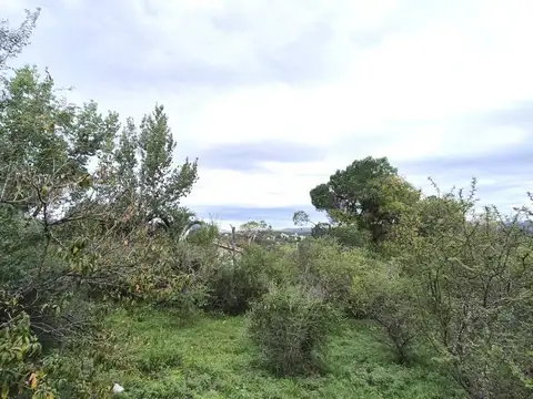 Terreno en Venta de 1073,0 m2