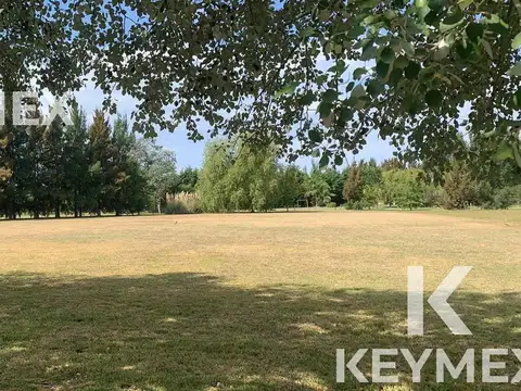 Terreno en Venta de 4460,0 m2